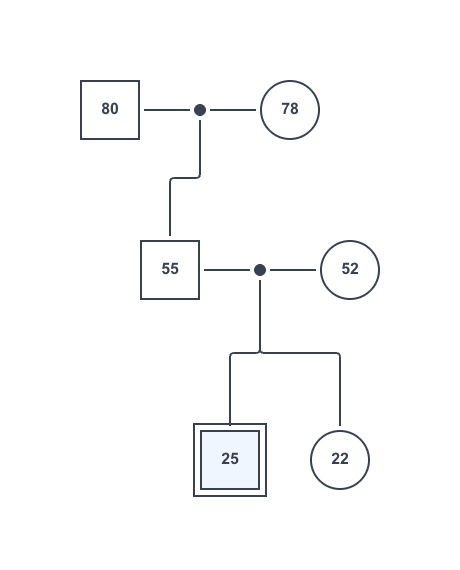 ジェノグラム・エコマップ Example